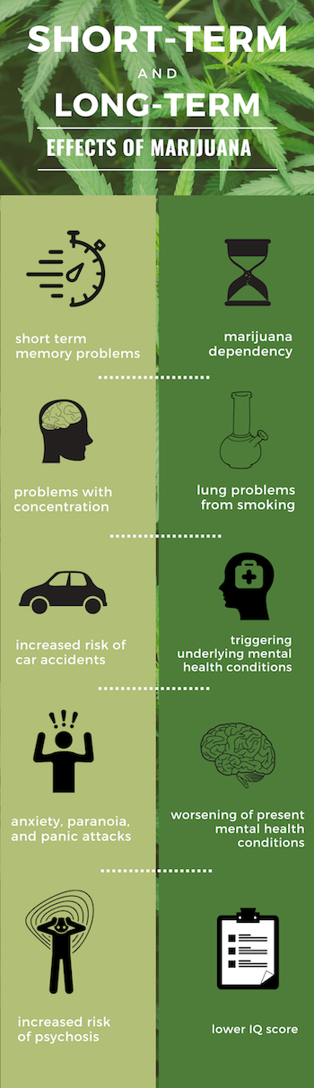 Effects of Marijuana Infographic